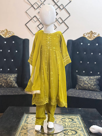 Dew Green Chiffon Frock