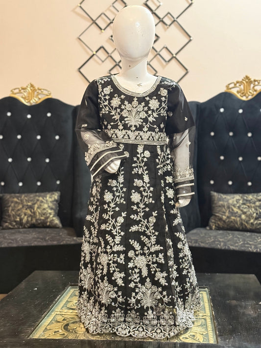 Organza Black Maxi with Silver Work