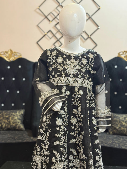 Organza Black Maxi with Silver Work