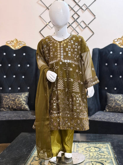 Hina Green Chiffon Frock with Silver Work