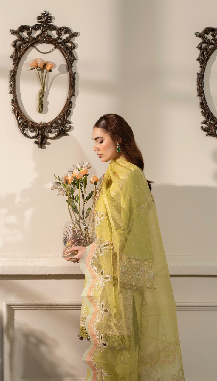 Ally's - J Lo Yellow